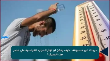 درجات غير مسبوقة.. كيف يمكن أن تؤثر الحرارة القياسية على مصر هذا الصيف؟